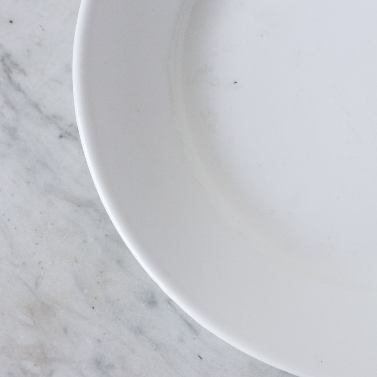 Paire de plats en porcelaine