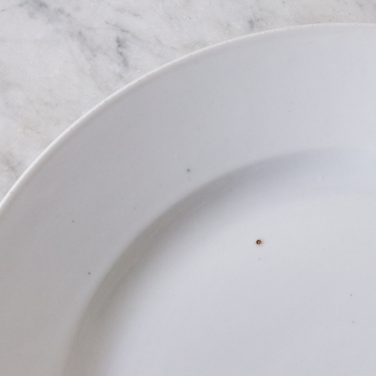 Paire de plats en porcelaine