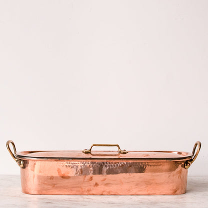 Braconnier de poissons cuivrés