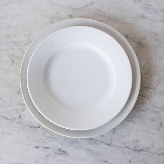 Paire de plats en porcelaine