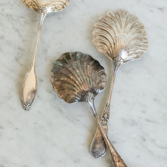 Cuillère en coquillage argenté