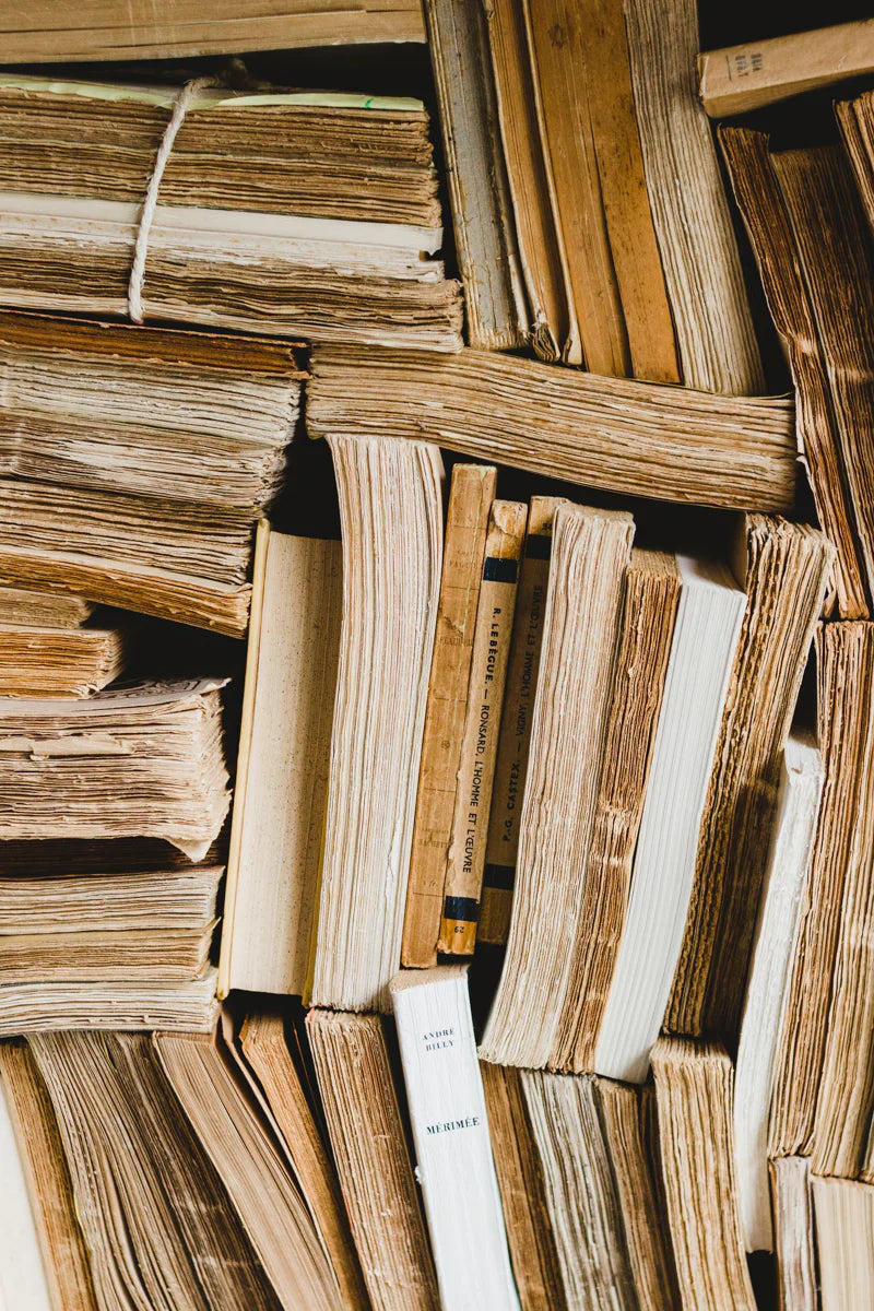 Ensemble de 4 livres français vintage