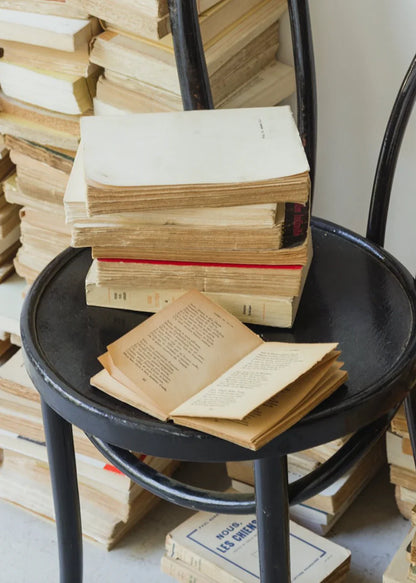 Ensemble de 4 livres français vintage