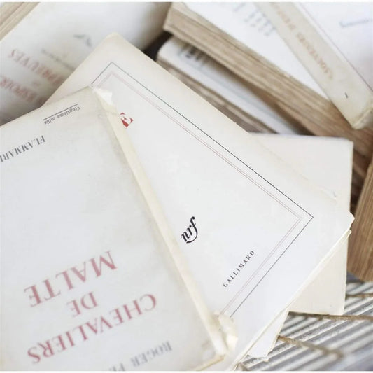 Ensemble de 4 livres français vintage